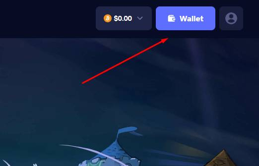 Wallet po założeniu konta
